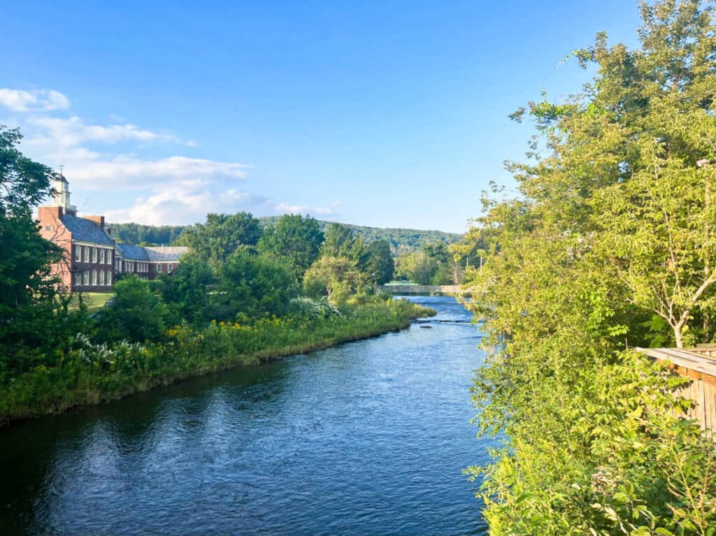 View of Willowemoc Creek surrounded by greenery