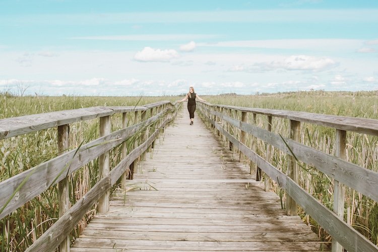 Taylor stands on a boardwalk among tall grass in Grassy Marsh, Hecla-Grindstone Provincial Park