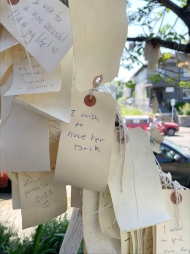 Closeup look of the past wishes on the Wishing Tree