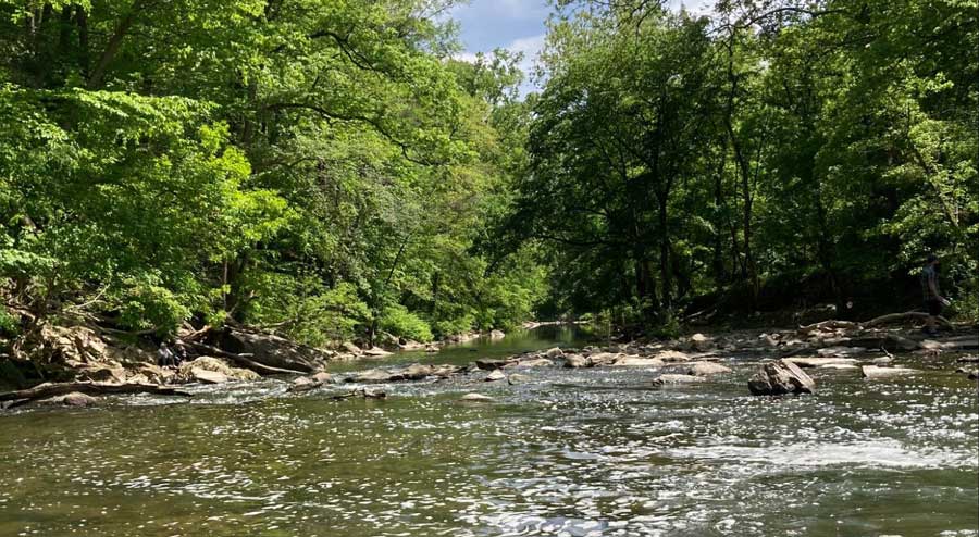 View from the Wissahickon Creek