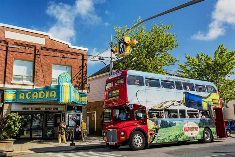 Big red bus on the street