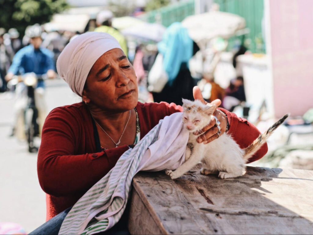 A woman cleaning a kitten on the wooden table
