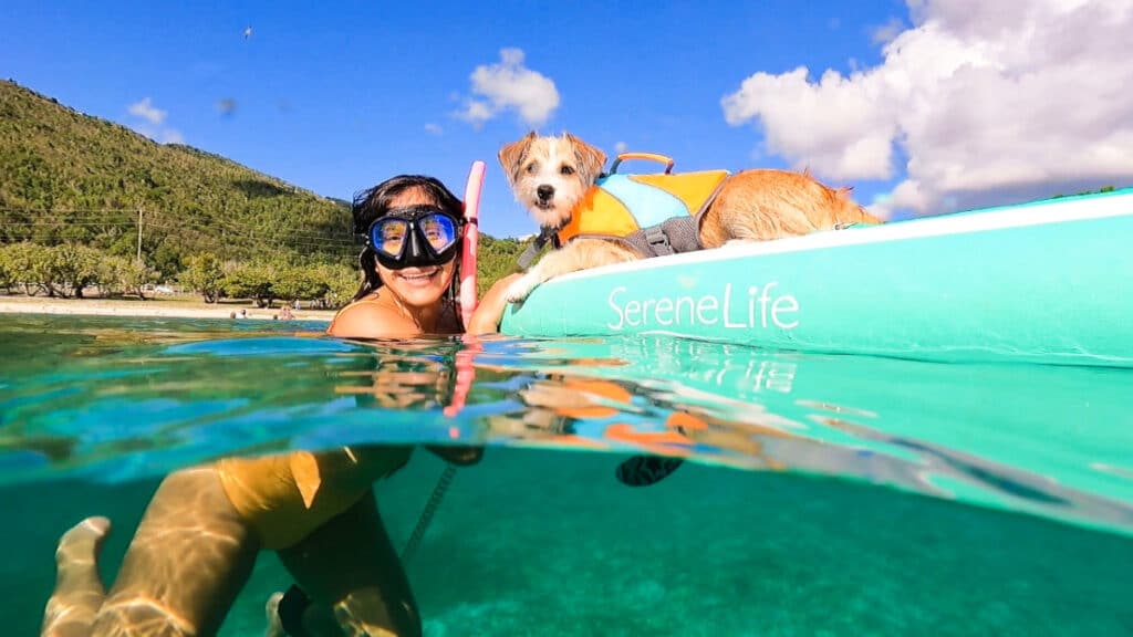 The author's wife swimming with snorkeling gear and a dog on the paddleboard