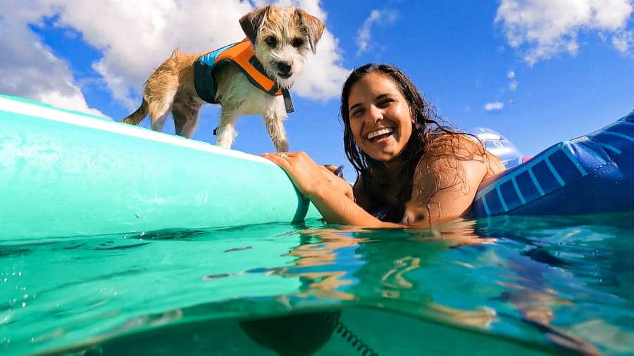 The author's wife and dog swimming on the beach of the US Virgin Islands