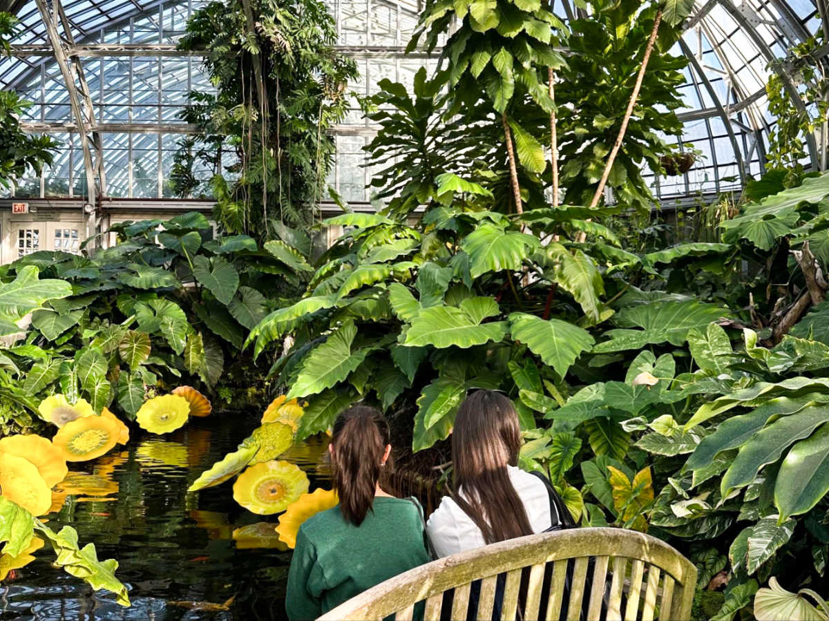 Two women admiring the greenery inside the Garfield Park Conservatory