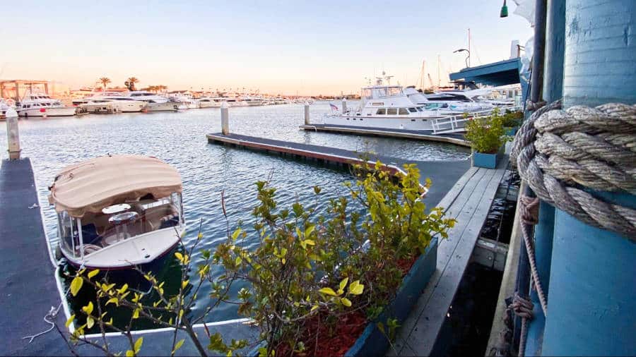 View of the docked boats from the patio at Woody’s Wharf at sunset