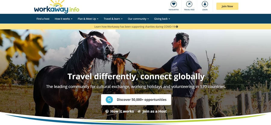 View of the Workaway Homepage