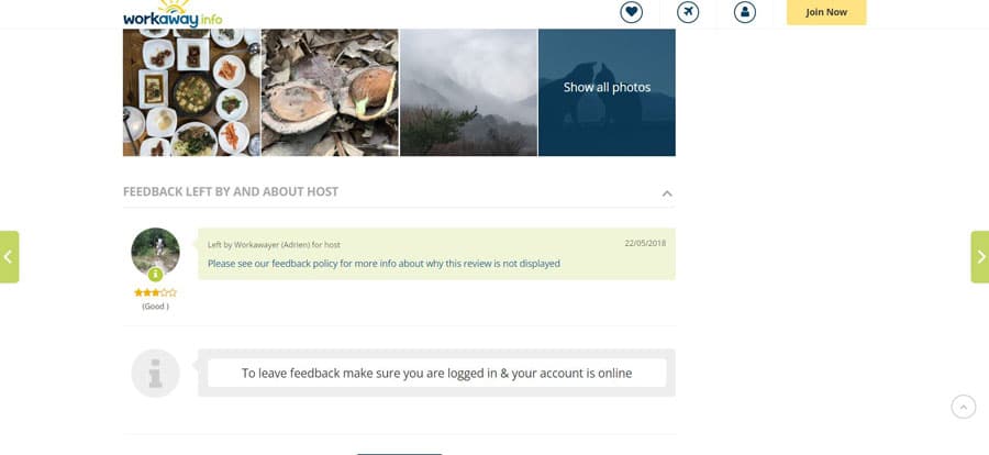 View of reviews from Workaway website