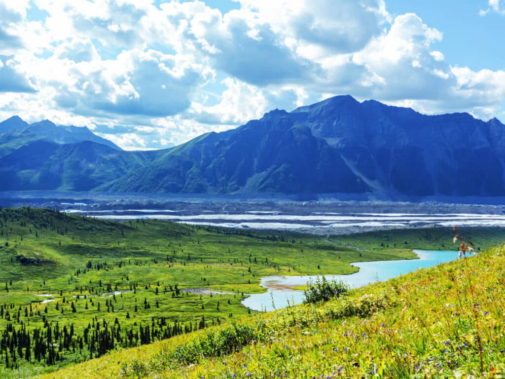 Scenic view at the Wrangell-St. Elias National Park and Preserve