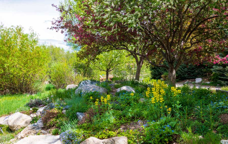 Scenic view from Yampa River Botanic Park