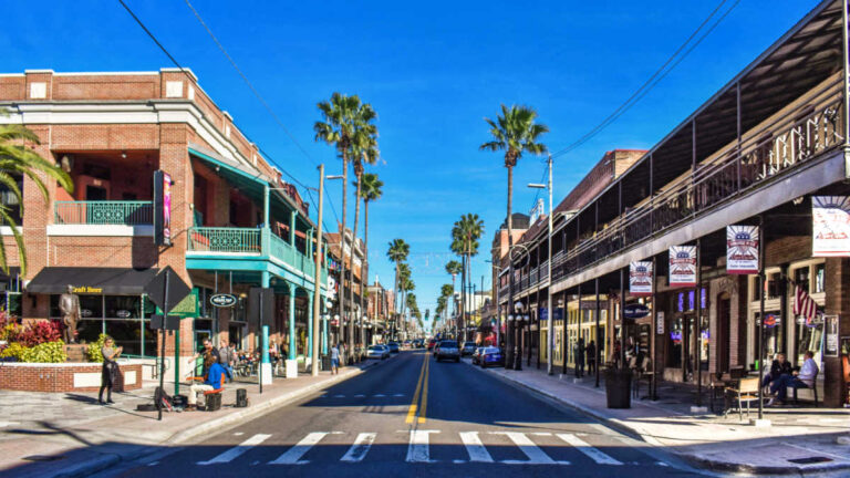 Street view of the lined palm trees along the shops in Ybor City