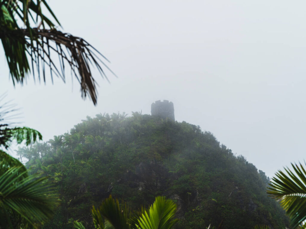 Perspective view of the Yocahu Tower on top of the mountain in El Yunque Rainforest