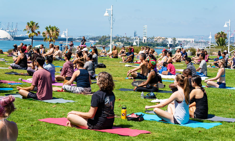 View of people having an outdoor yoga session on the a grass field in Long Beach