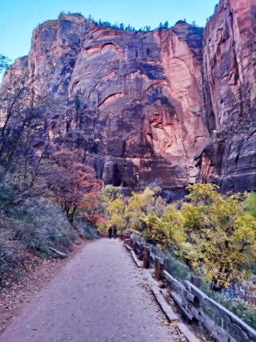 View of the trail leading to the magnificent canyon in Zion National Park