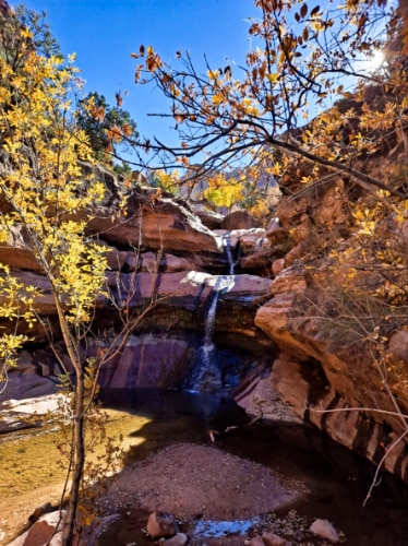 Picturesque view of a waterfalls in Zion National Park during autumn season