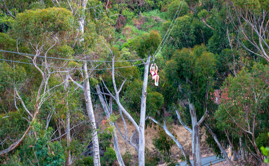 View of a woman enjoying zip line eco tour in Catalina Island