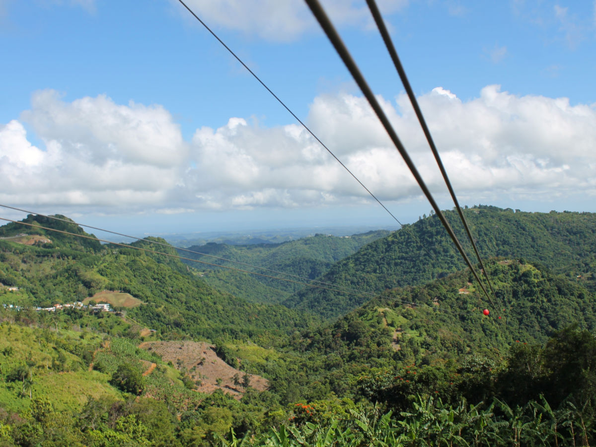 View of the zipline in Zipline at Toro Verde Adventure Park