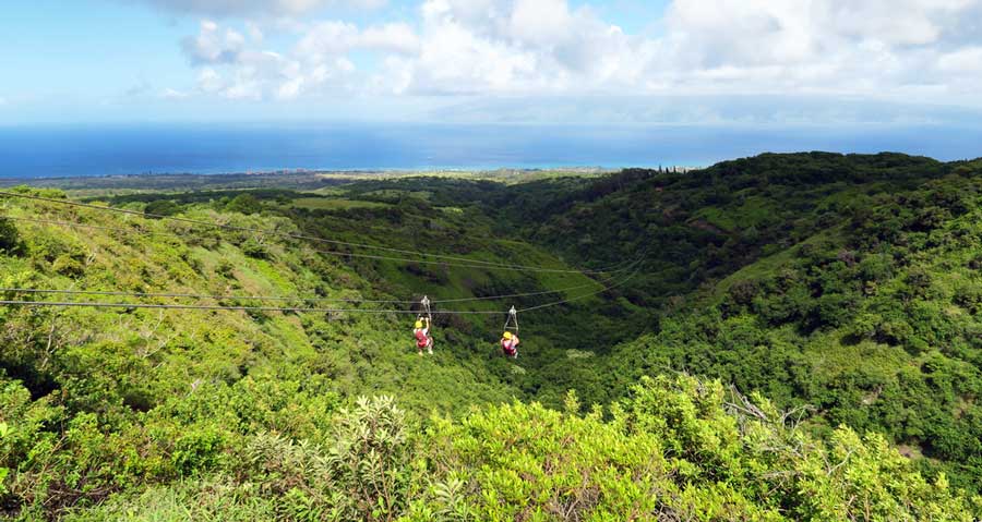Two people zipling in Toro Verde Adventure Park