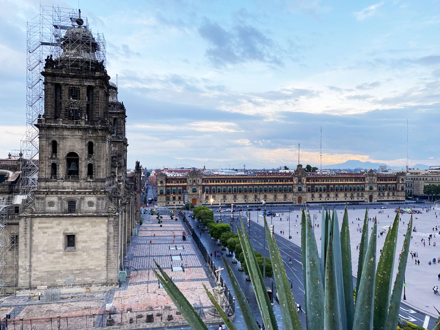The view from Zocalo Central