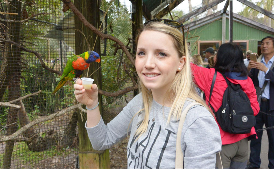 The author feeding the lories on her hand at ZooTampa