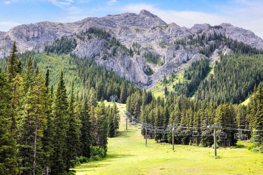A line of chairlifts run through evergreen trees in front of Mount Norquay in Banff National Park