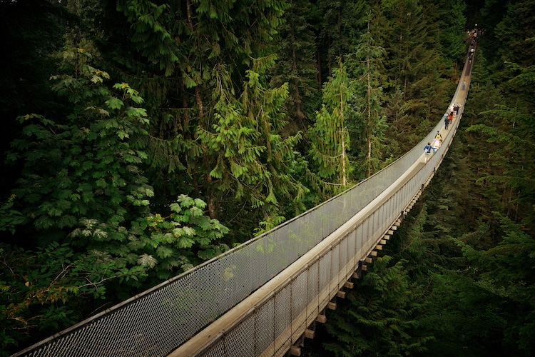 People walk across the Capilano Suspension Bridge in Vancouver surrounded by lush greenery