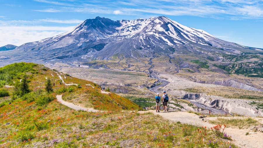 Hikers looking at the snowcapped Mount St Helens from the Harry's Ridge Trail
