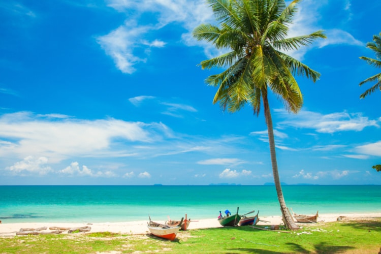 Scenic view of the white sand beach and the clear blue sky in the background