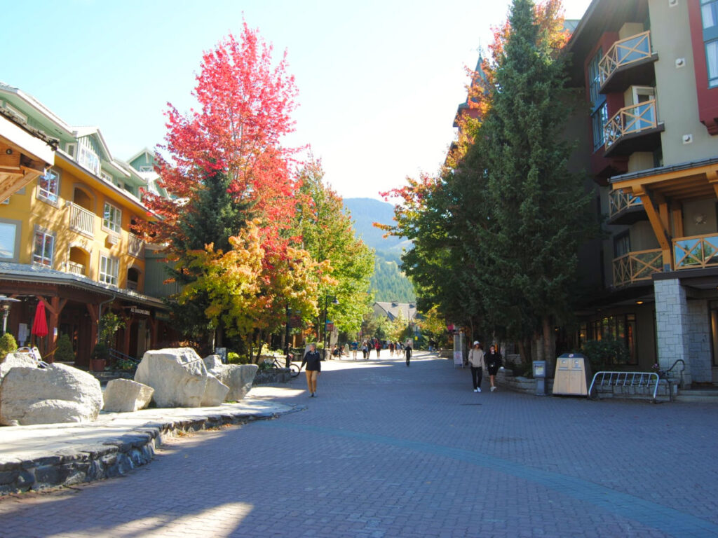 Vibrant trees standing tall in Whistler Village