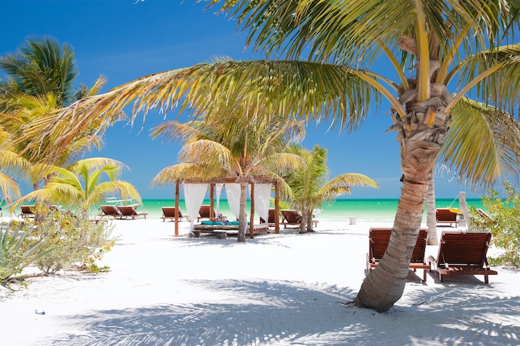 Beach beds among palm trees at perfect tropical coast on Holbox island