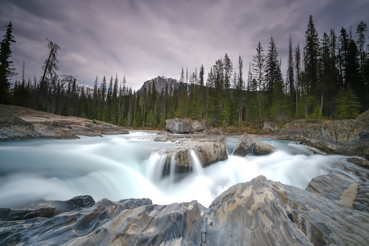Small waterfall in a forest in Mount Revelstoke National Park