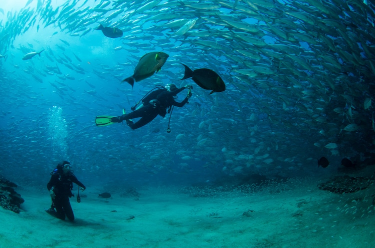 Scuba diving in Mexico