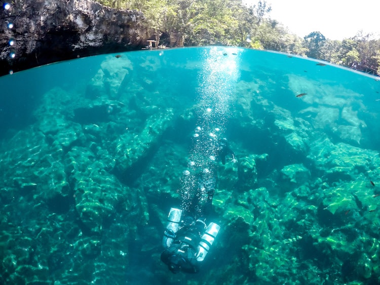 Over/underwater view of a scuba diver in Cenote Jardin
