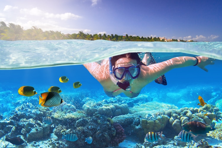 An over-underwater shot of a woman snorkeling with fish in the Caribbean Sea