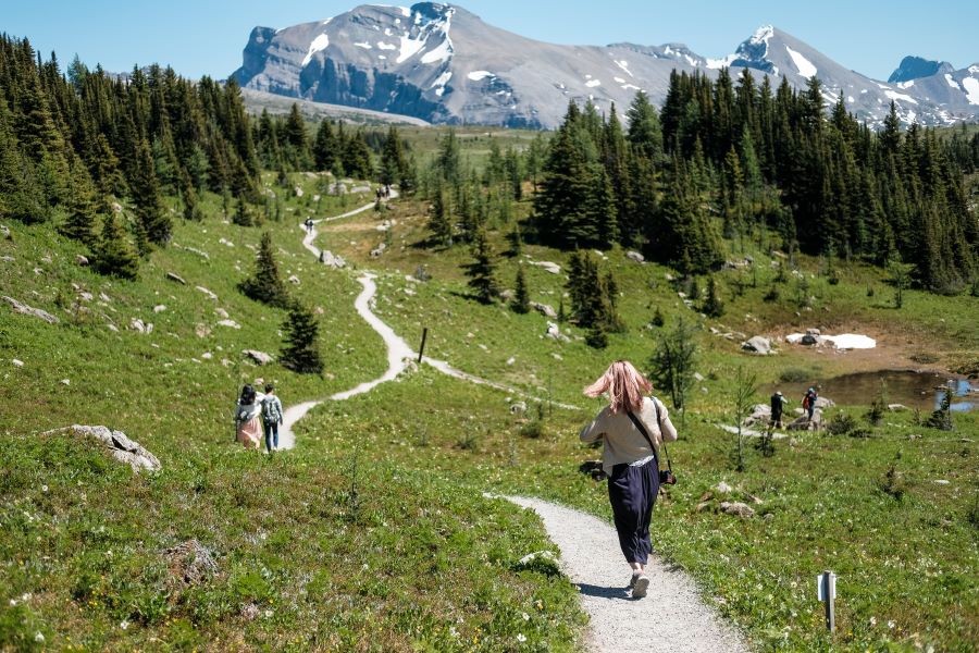 People walk along a trail in sunshine meadows, on their way to Rock Isle Lake