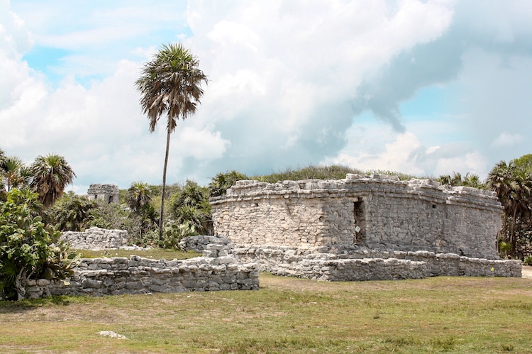 Mayan structures against the jungle