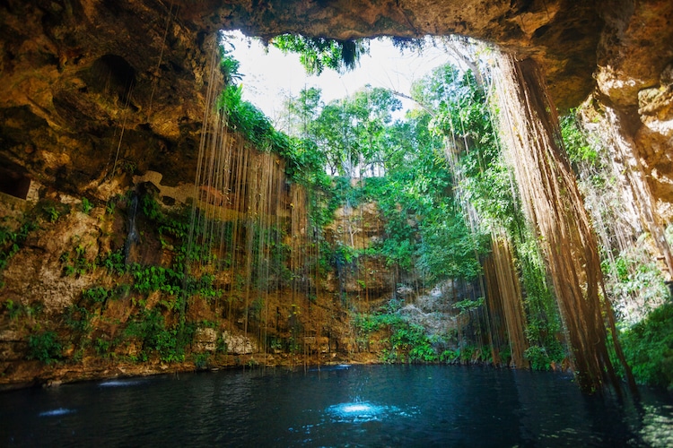 Light shining through the top of a cenote